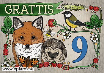 Vykort A5 Grattis 9 år