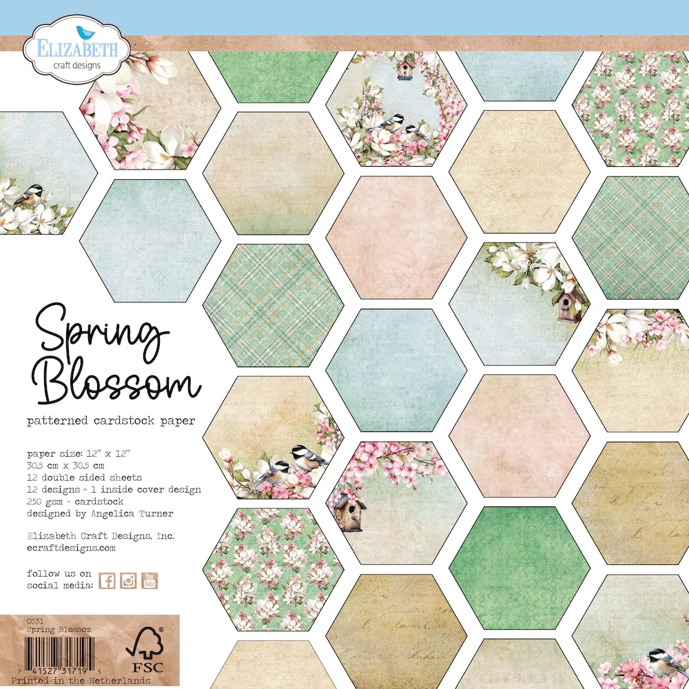 Elizabeth  -  Printed Cardstock -12x12 - Spring Blossom