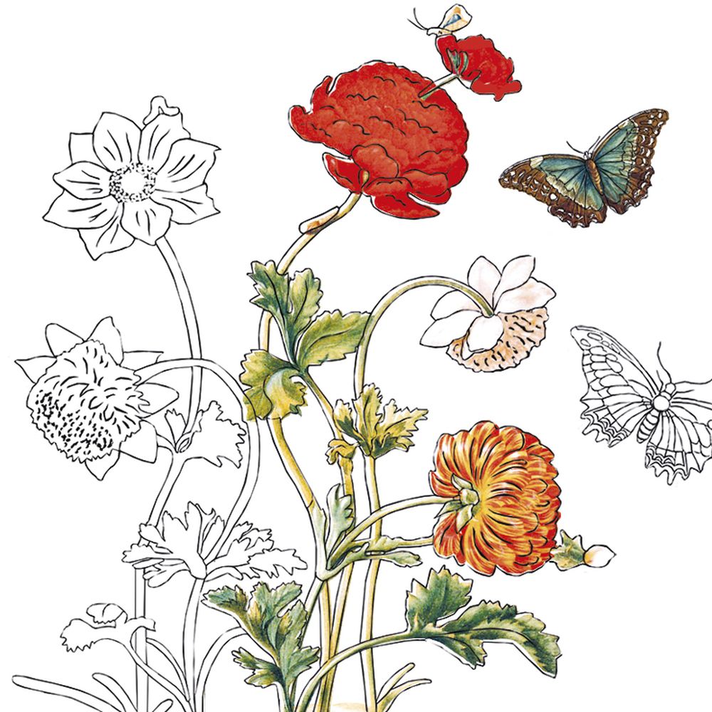 Coloring Art, Maria Sibylla Merian - 2