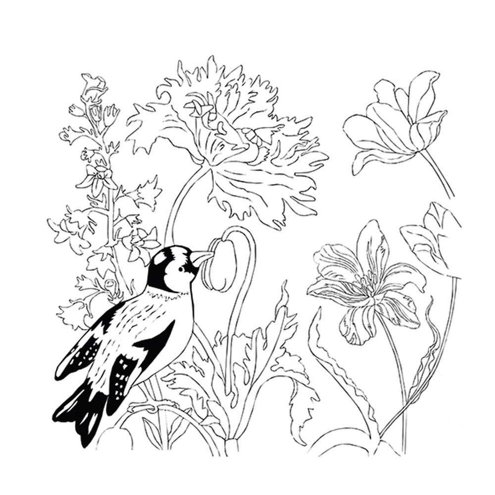 Coloring Art, Maria Sibylla Merian - 5