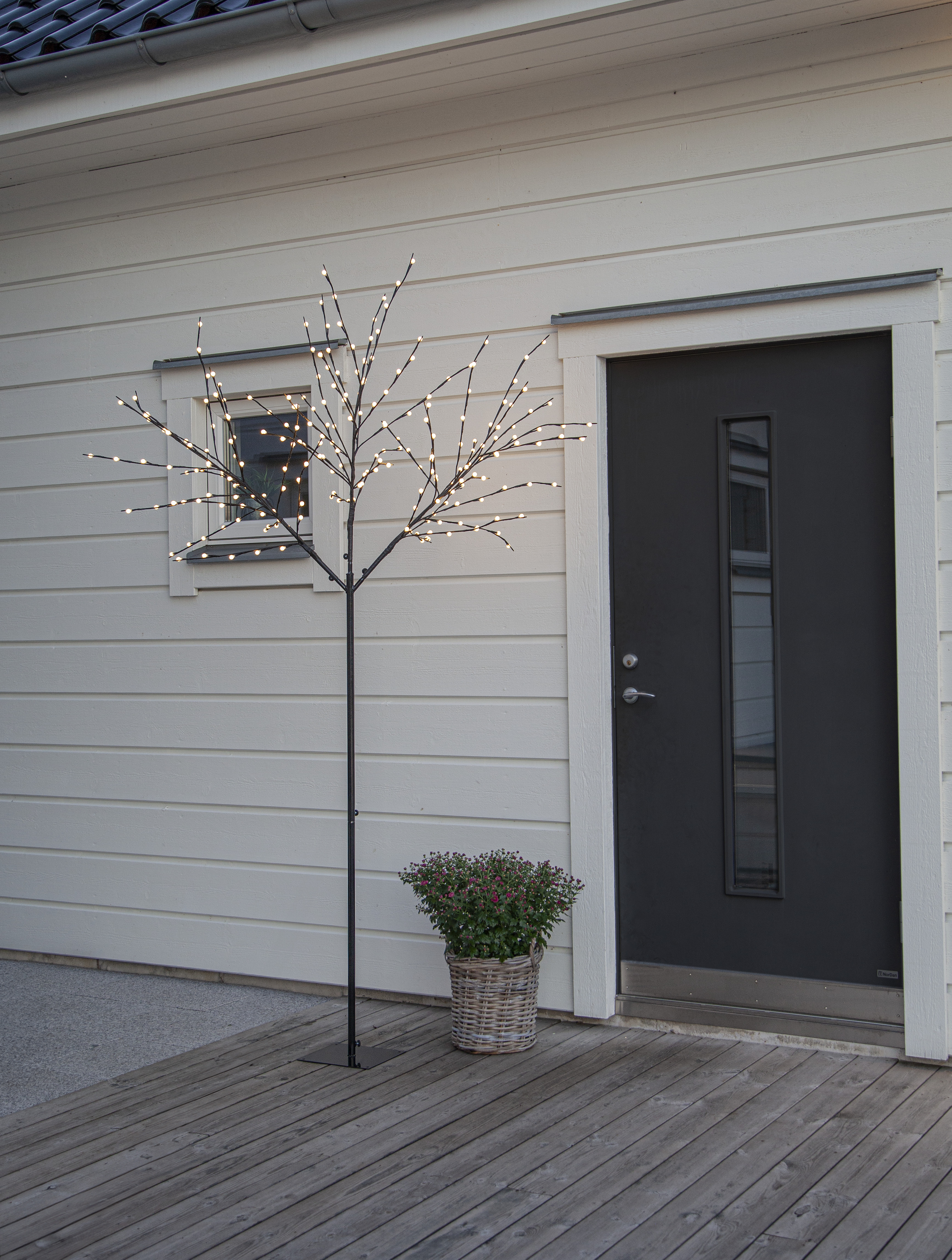 Tree – Decorative tree – 250 cm – 240 LED lights - 5