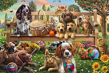 A Garden Picnic for Dogs and Cats, 200 Bitar Schmidt