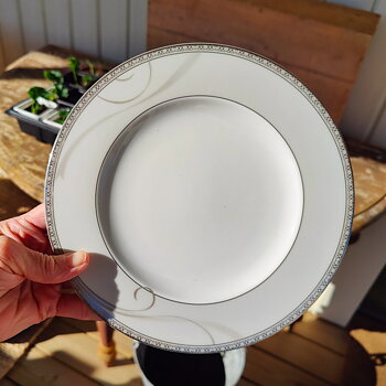 Royal Dream tallrik/assiett från Fyrklövern