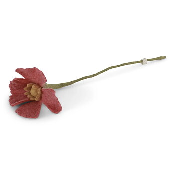 Poppy flower