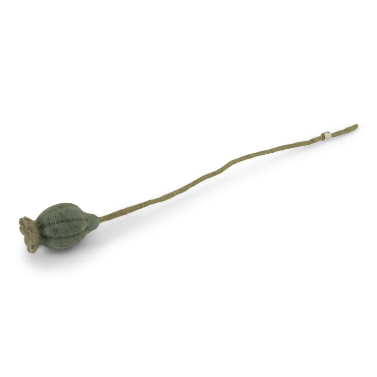 Poppy 