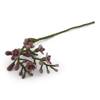 Blomma