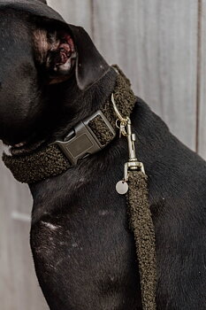 KENTUCKY Hundhalsband Teddy Fleece Pine Green