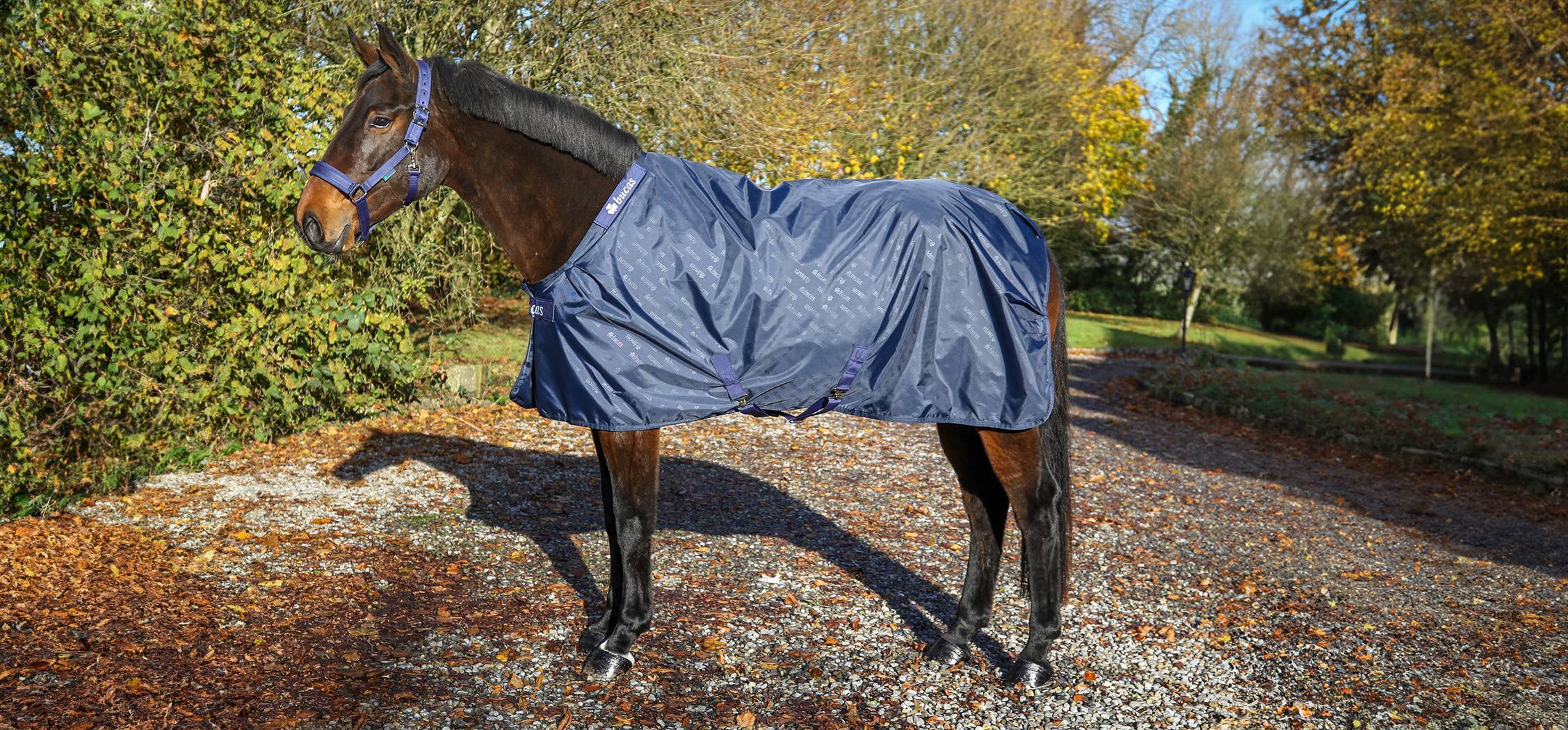 Bucas stable sheet stalldekken