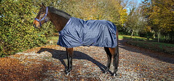 Bucas stable sheet stalldekken