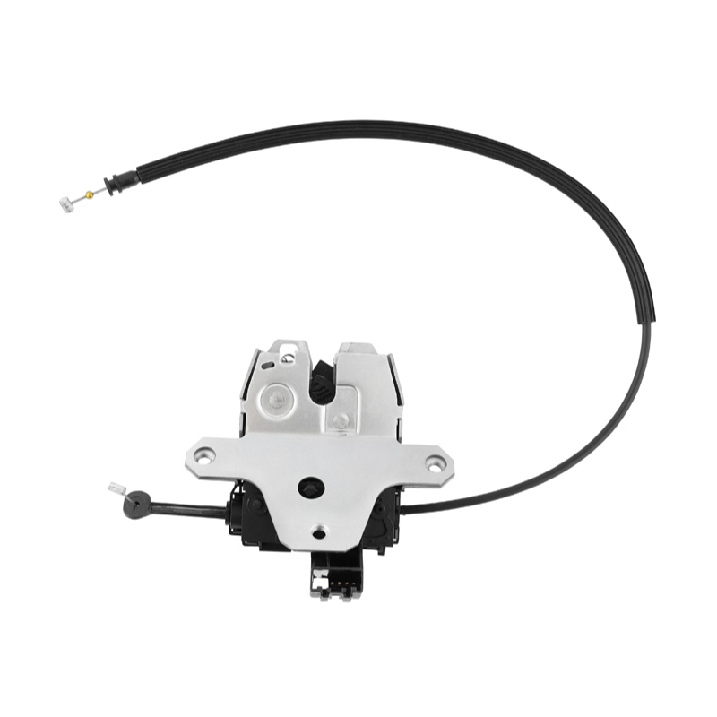 Door lock for tailgate Volvo 