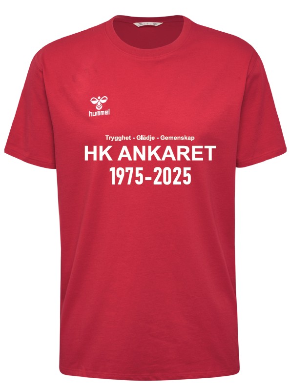 Hummel Go 2.0 T-shirt Jubileum Ankaret USX (HK Ankaret)
