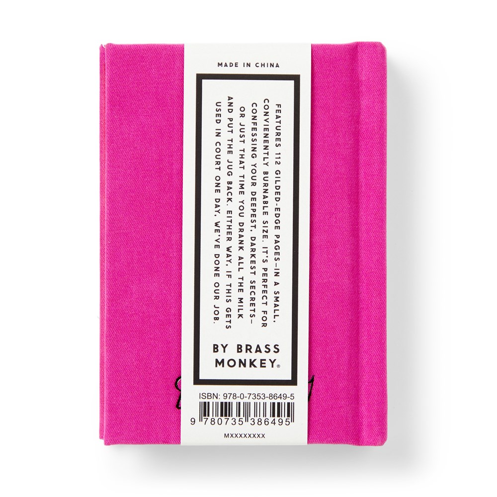 Tiny Diary for Not So Tiny Secrets - 9
