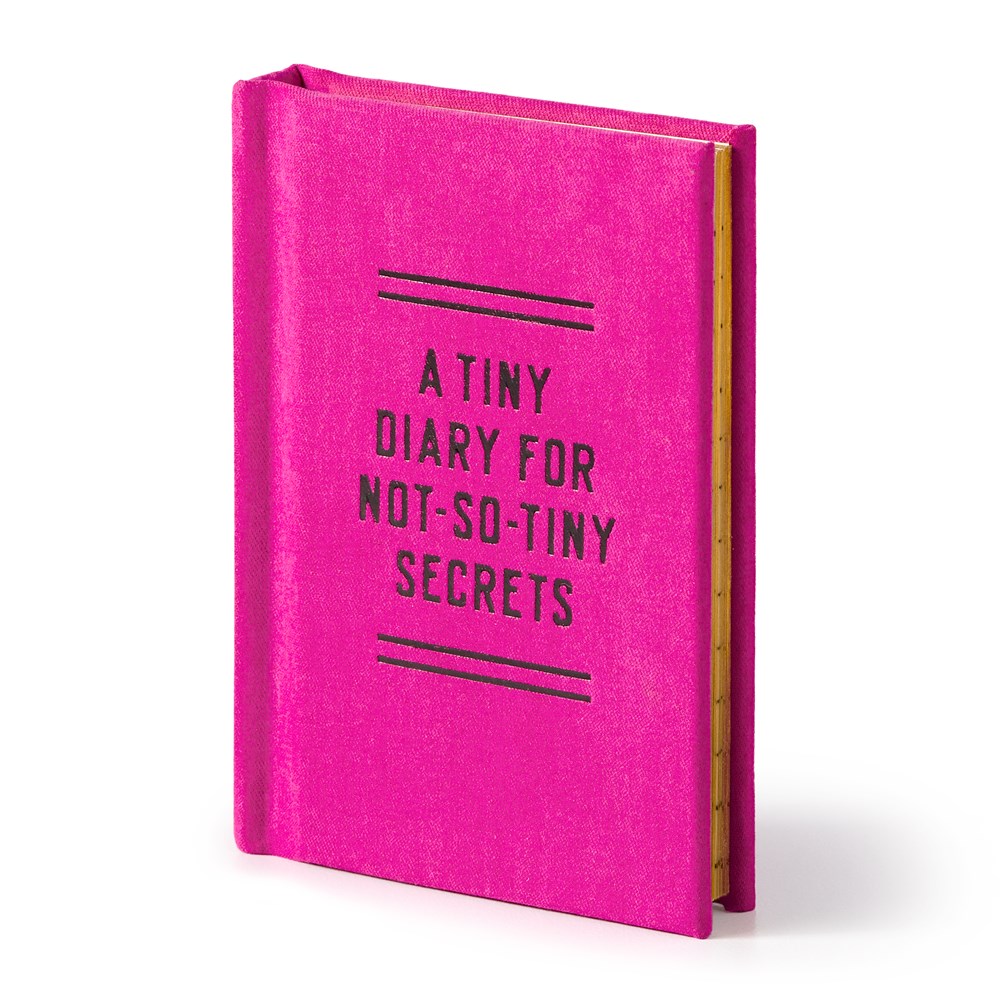 Tiny Diary for Not So Tiny Secrets - 6