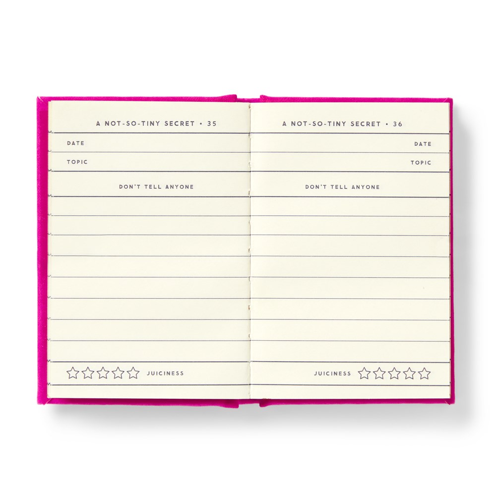 Tiny Diary for Not So Tiny Secrets - 8