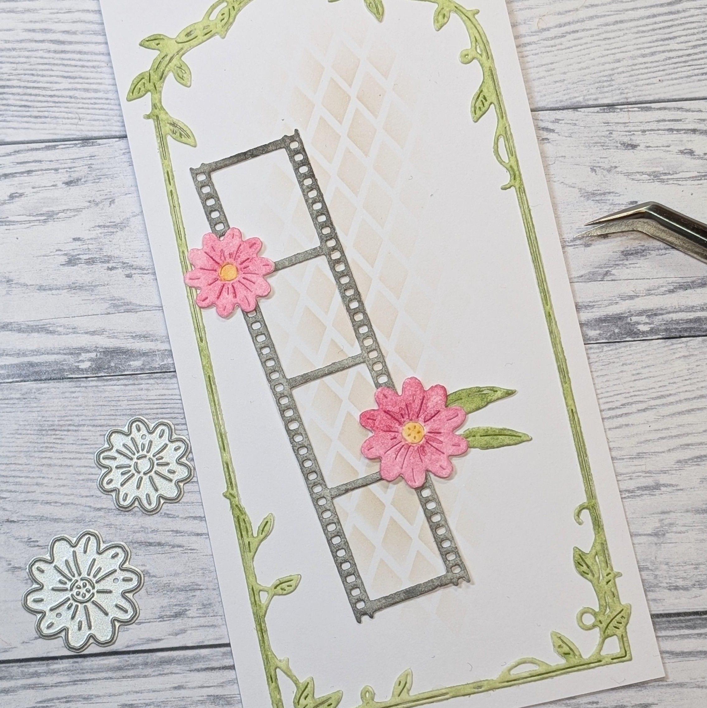 Gummiapan dies - Filmstrip