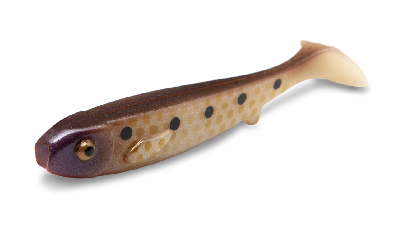 Flatnose Mini 9cm, 10-pack - 3