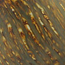 Gunnar Nylund (Birka 1965) Yellow/Brown Rounded Bowl 16/14 cm