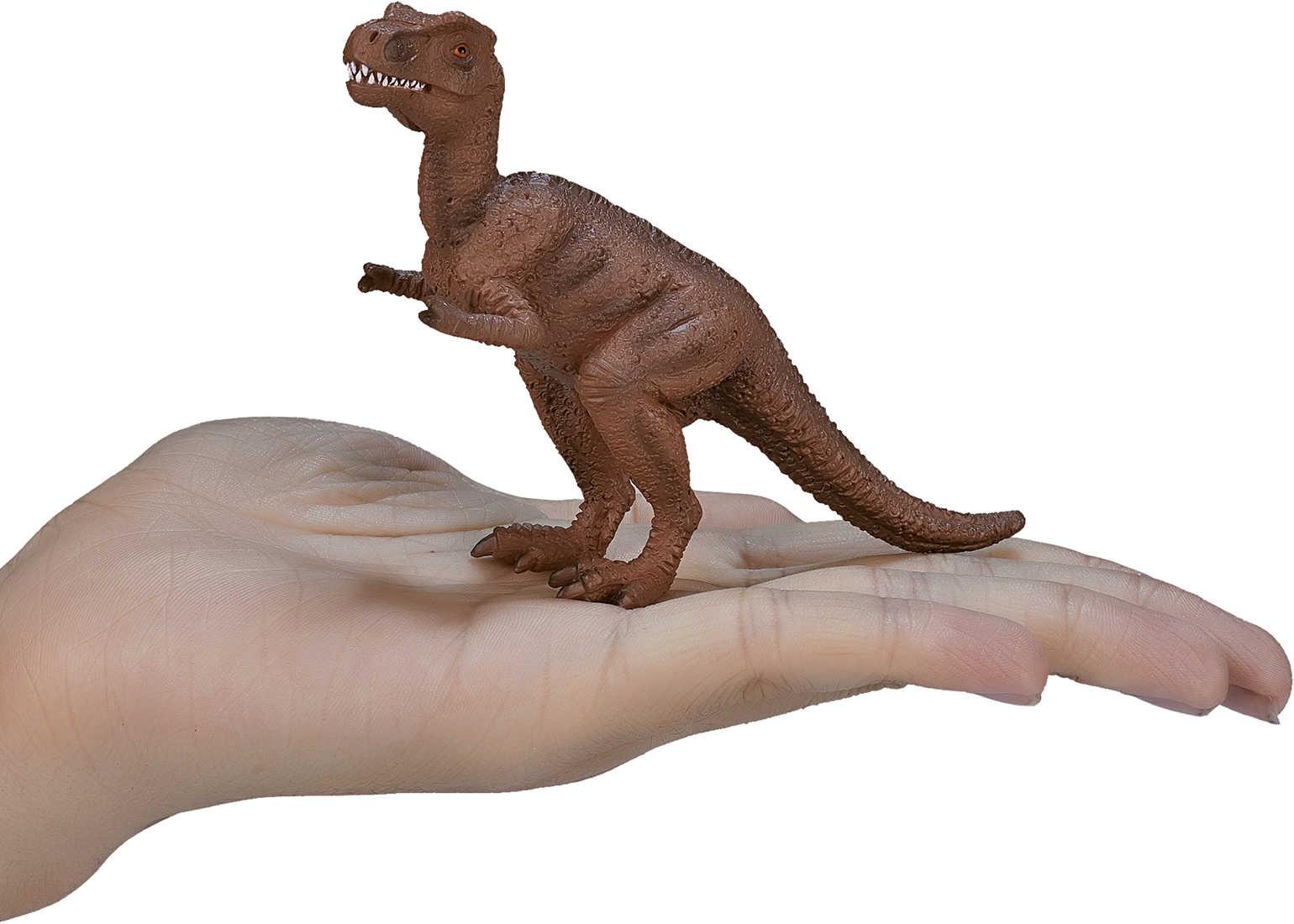 Dinosaur Baby T-rex - 2