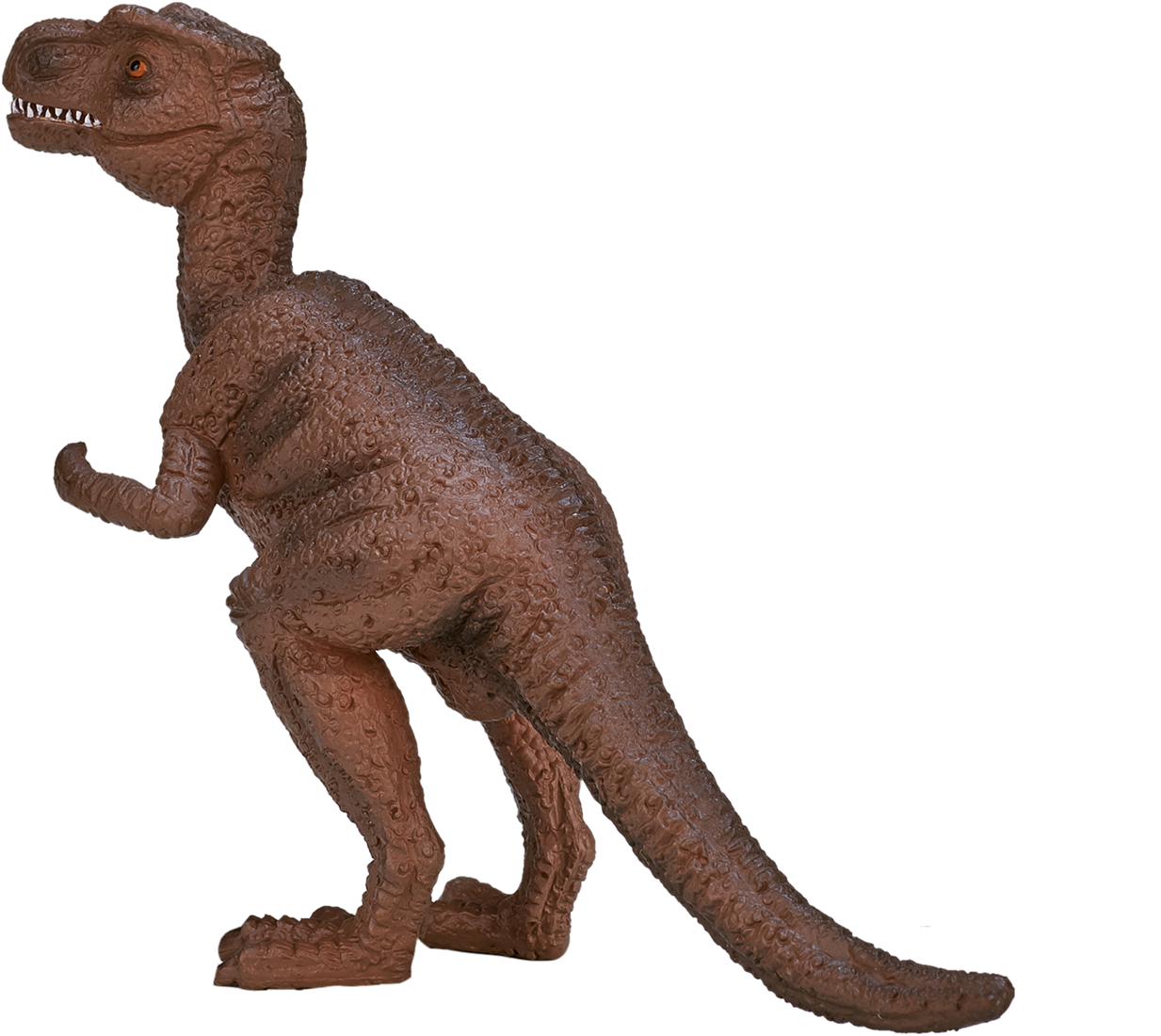 Dinosaur Baby T-rex - 3