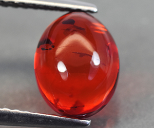 Gorgeous natural untreated loose amber gemstone with unique inclusions - 2