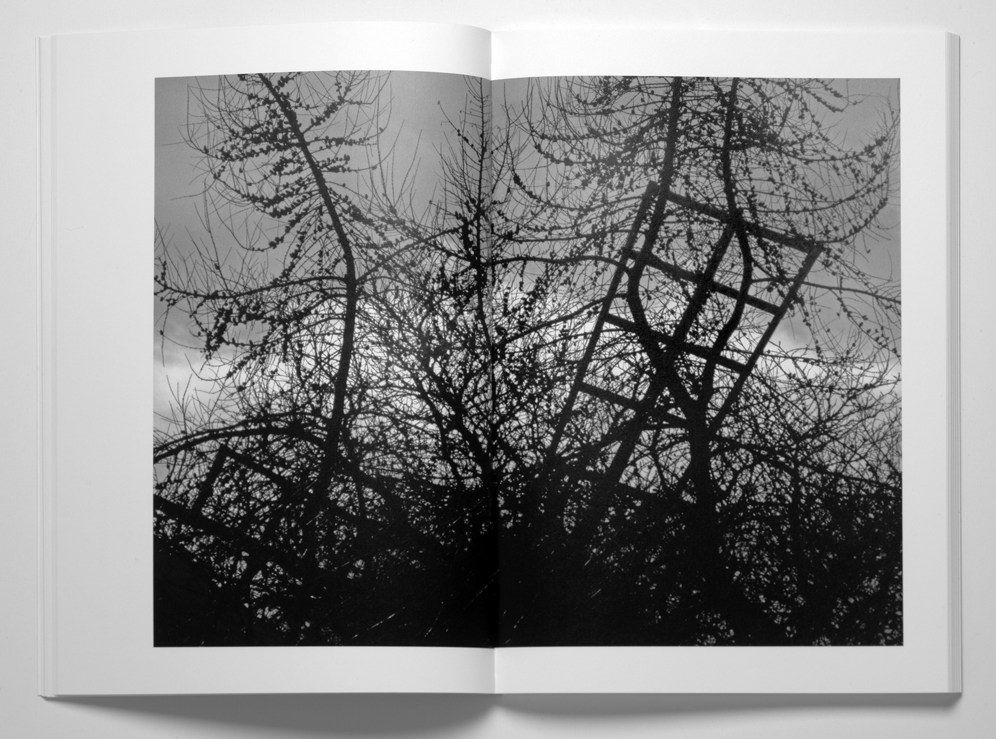 DAWID - VDRKVRNR - 8