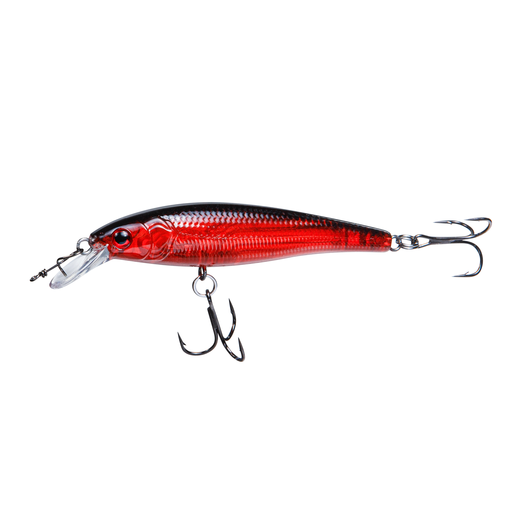 RenzStein Beastly Minnow Finesse - 3