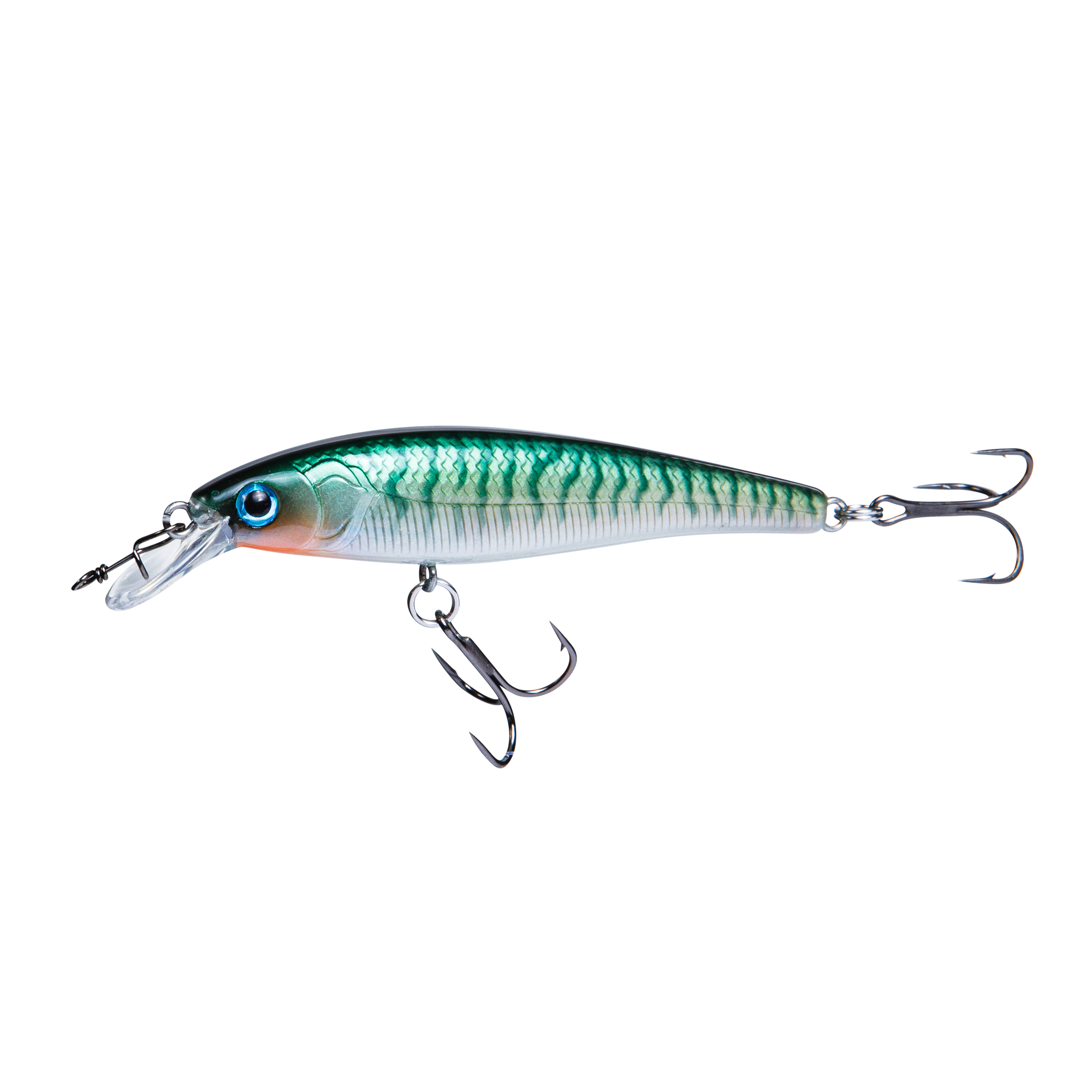 RenzStein Beastly Minnow Finesse - 10