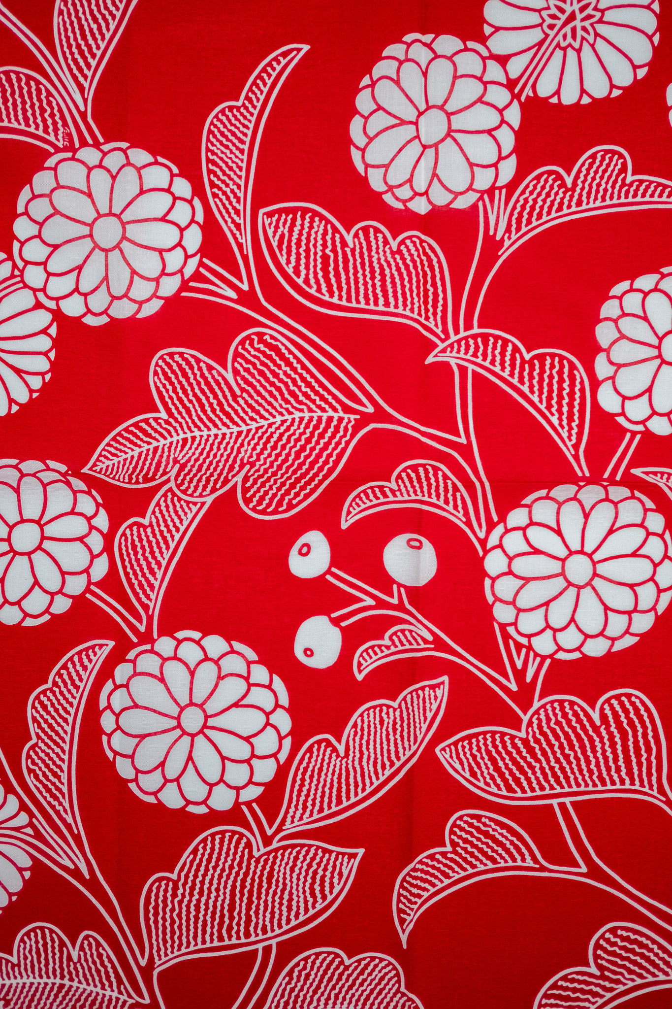 Kobashi Studio - Chrysanthemum Bandana Red Skinku - 4