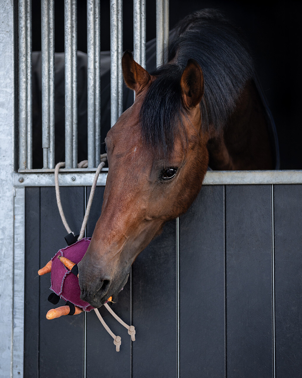 QHP Horse Toy Ball – Blue - Natural material