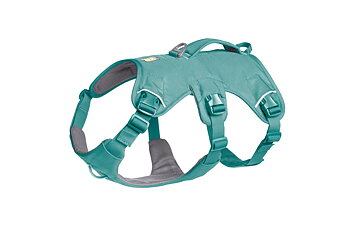 Ruffwear Web Master Hundegeschirr mit Griff – River Rock Green