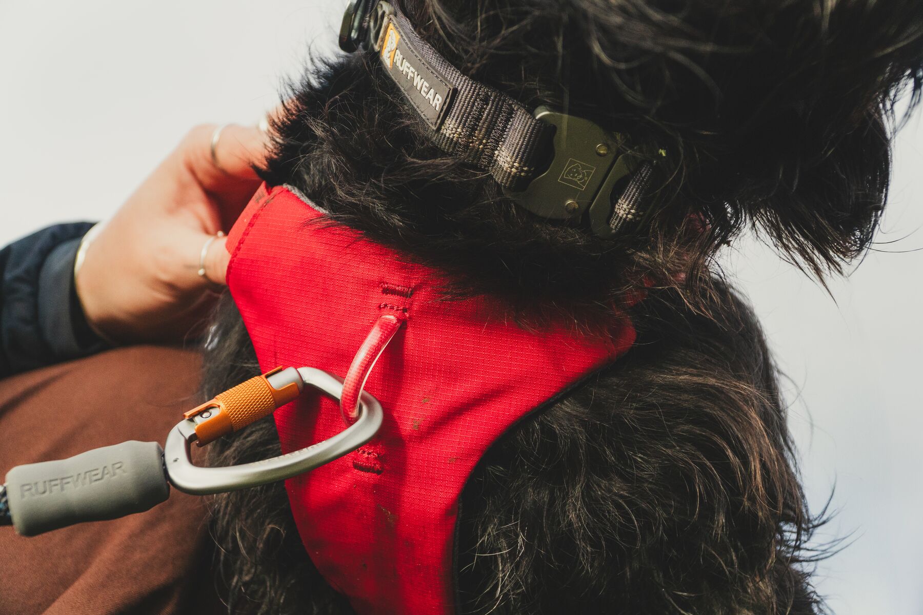 Ruffwear Web Master Dog Harness with Handle – Red Canyon - 7