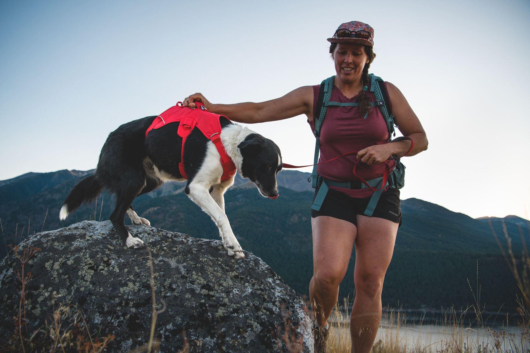 Ruffwear Web Master Dog Harness with Handle – Red Canyon - 8