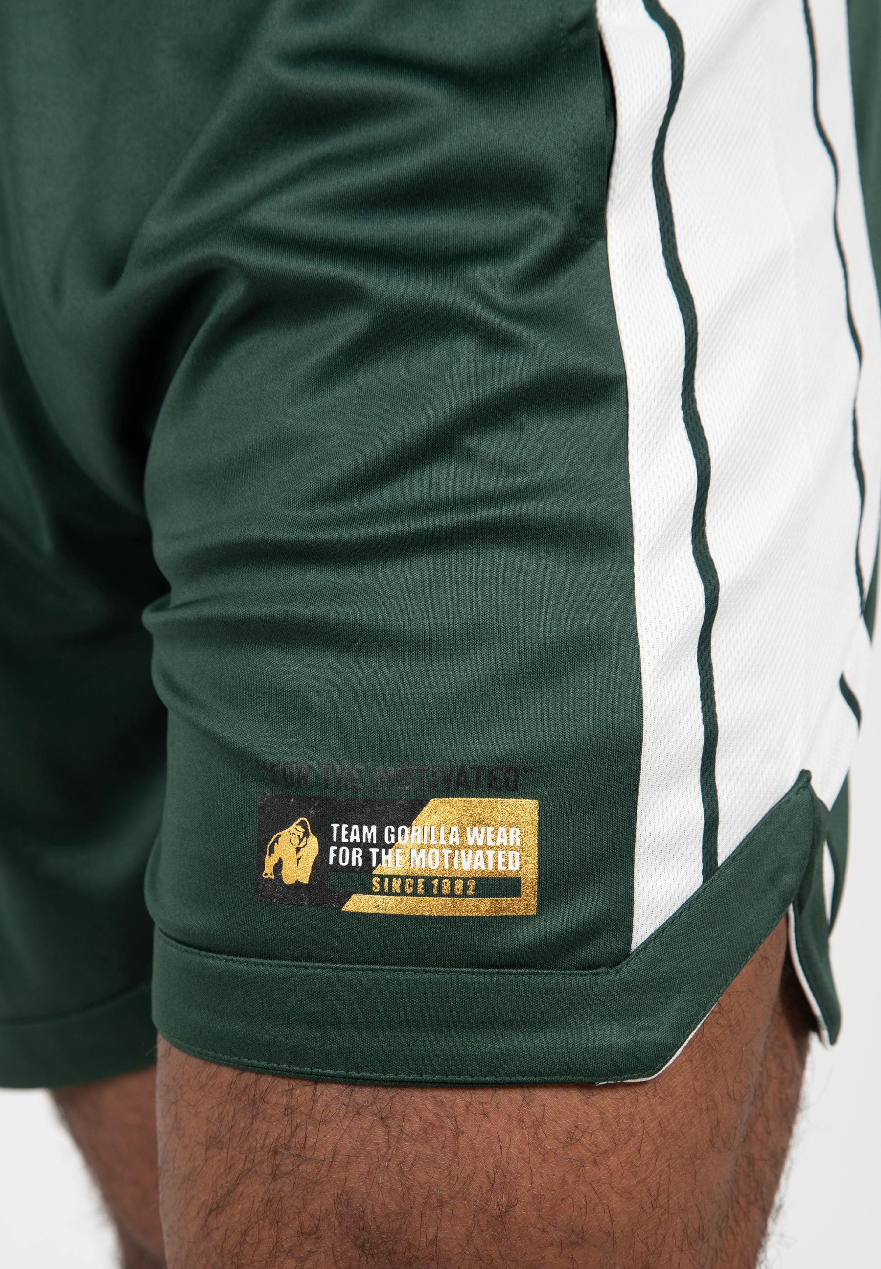 Orlando Shorts, green - 7