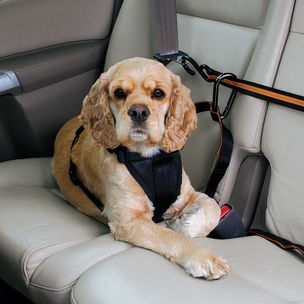 Kurgo Auto Zip Line Dog Car Safety Restraint – Black/Orange - Dog runner line
