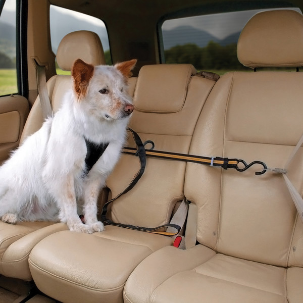 Kurgo Auto Zip Line Dog Car Safety Restraint – Black/Orange - 2