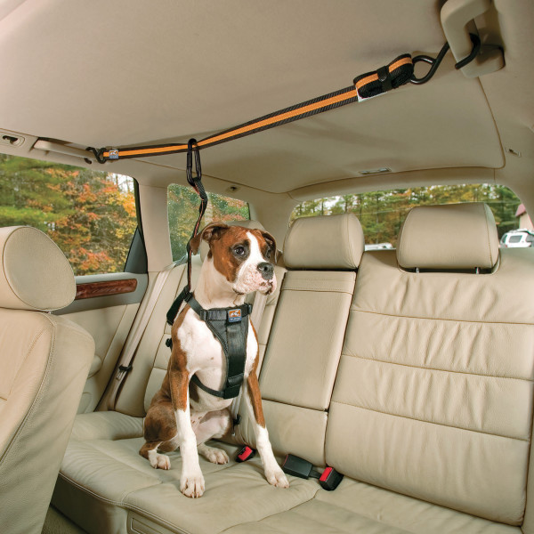 Kurgo Auto Zip Line Dog Car Safety Restraint – Black/Orange