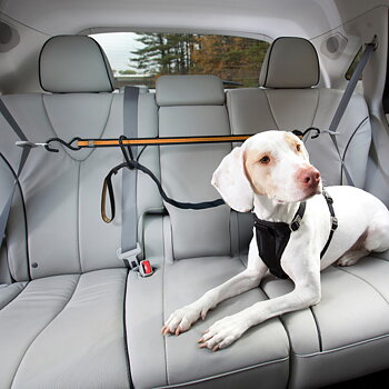 Kurgo Auto Zip Line Dog Car Safety Restraint – Black/Orange - Easy to use