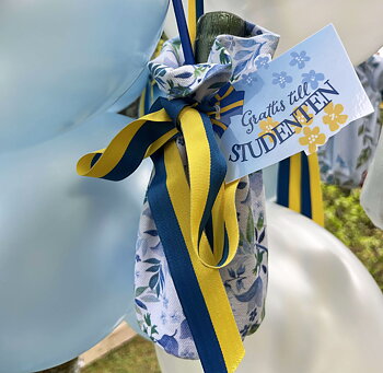 STUDENTPÅSEN