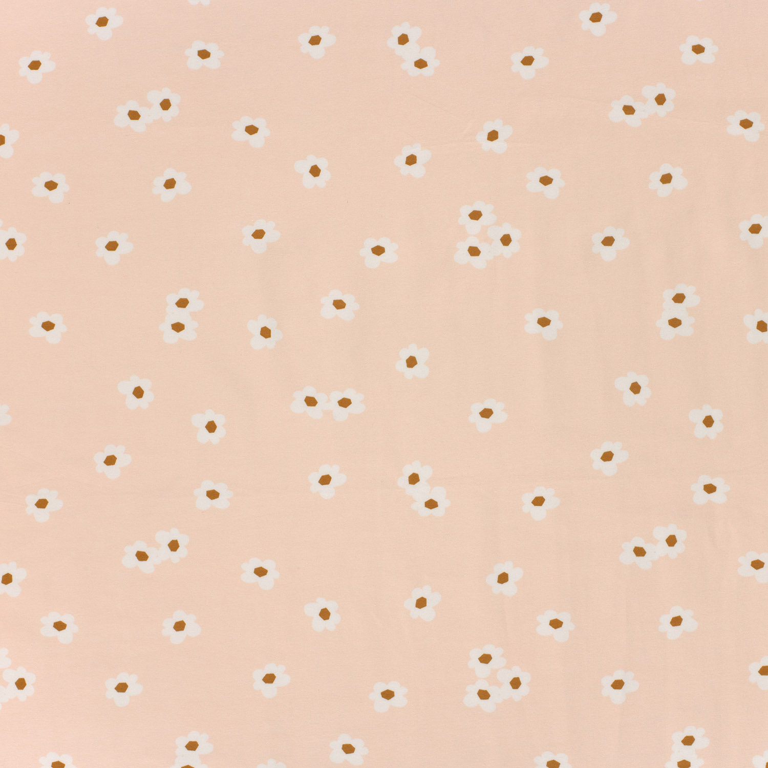 DAISYS PINK - 2