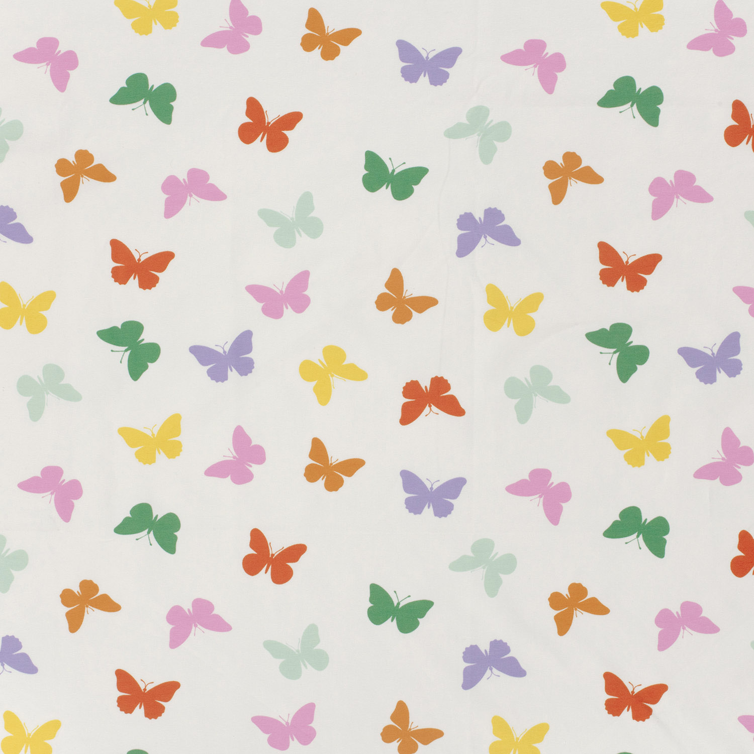 COLORFULL BUTTERFLIES - 2