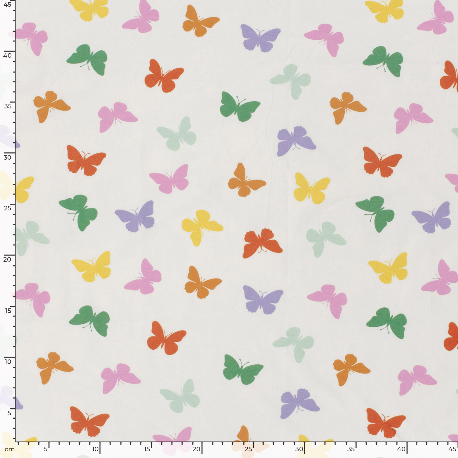 COLORFULL BUTTERFLIES - 5