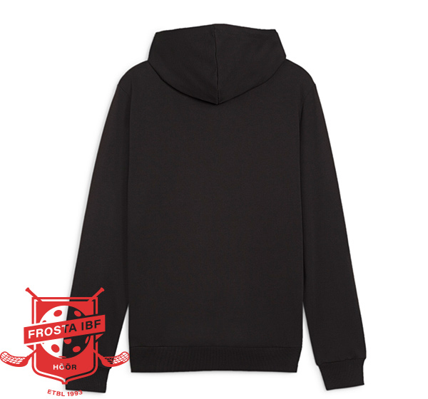 Frosta IBF - Puma Teamgoal Casuals Hoody - 2