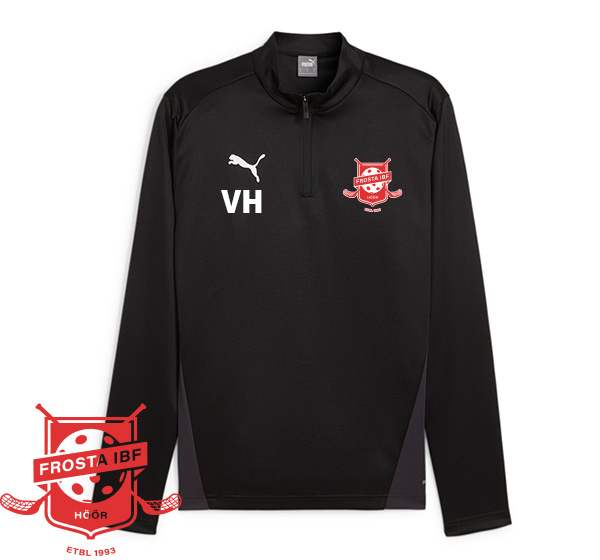 Frosta IBF - Puma Teamgoal Traning 1/4 Zip Top