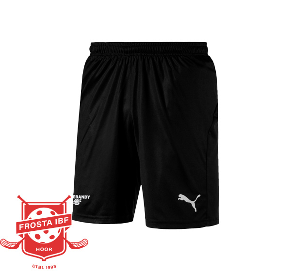 Frosta IBF - Puma teamgoal 23 Shorts
