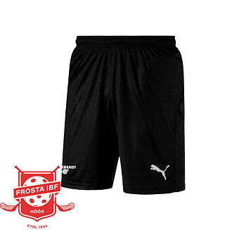 Frosta IBF - Puma teamgoal 23 Shorts