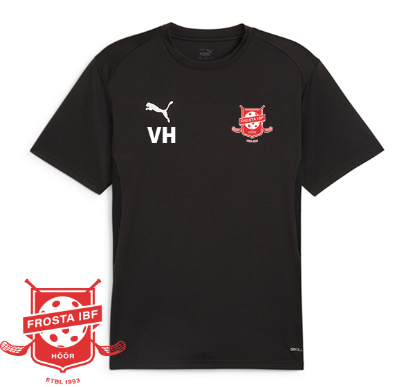 Frosta IBF - Puma Teamgoal Jersey Tee
