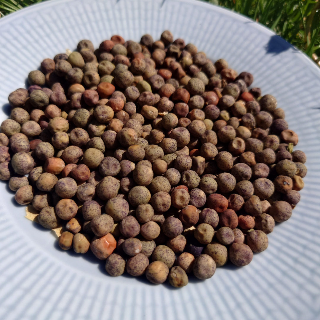 Sockerärt - Jons Släpärt - Kulturarv