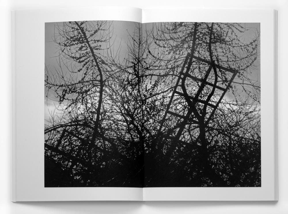 Dawid – VDRKVRNR [signed] - 7