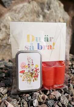 Paket 2825