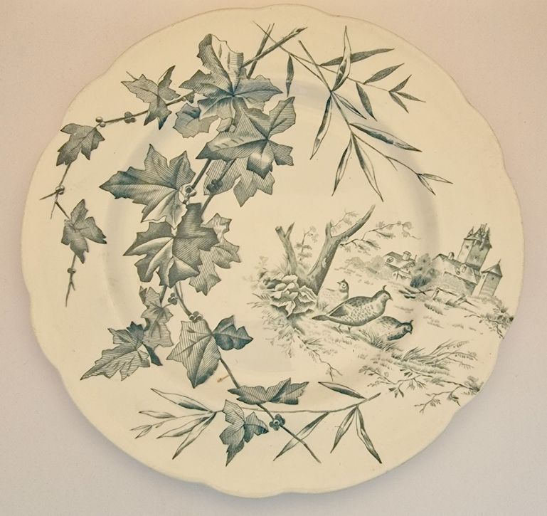 Hedera dinner plate